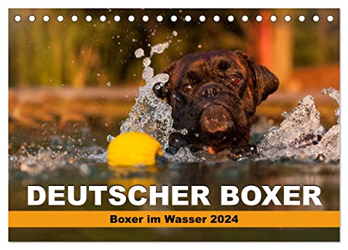 Deutscher Boxer - Boxer im Wasser 2024 (Tischkalender 2024 DIN A5 quer), CALVENDO Monatskalender von CALVENDO