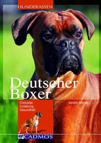 Deutscher Boxer: Charakter - Erziehung - Gesundheit (Cadmos Hunderassen)