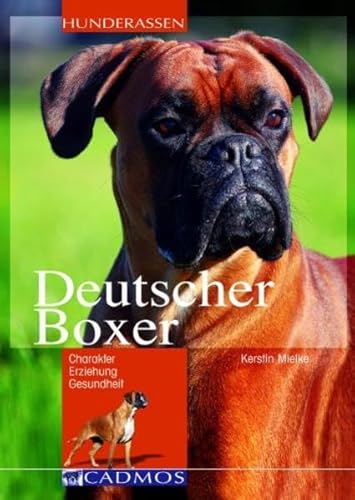 Deutscher Boxer: Charakter, Erziehung, Gesundheit (Cadmos Hunderassen)