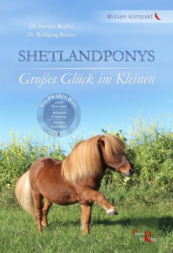 SHETLANDPONYS: Großes Glück im Kleinen
