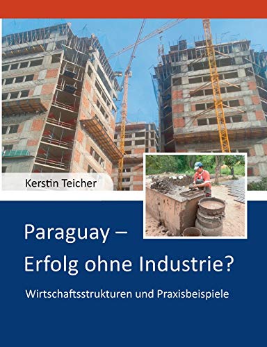 Paraguay - Erfolg ohne Industrie?: Wirtschaftsstrukturen und Praxisbeispiele