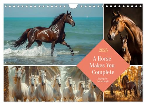 A Horse Makes You Complete (Wandkalender 2025 DIN A4 quer), CALVENDO Monatskalender
