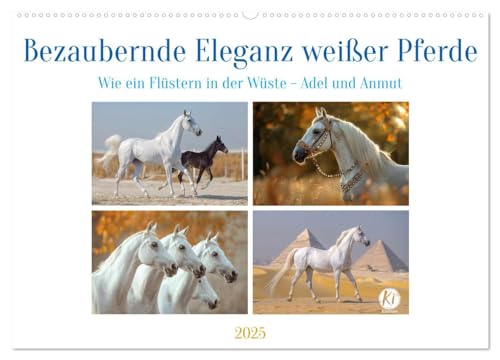 Bezaubernde Eleganz weißer Pferde (Wandkalender 2025 DIN A2 quer), CALVENDO Monatskalender