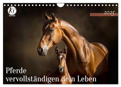 Pferde vervollständigen dein Leben (Wandkalender 2025 DIN A4 quer), CALVENDO Monatskalender von CALVENDO