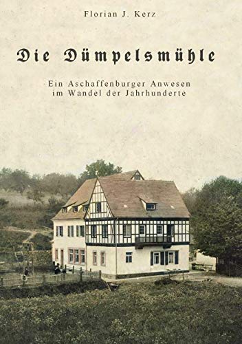 Die Dümpelsmühle: Ein Aschaffenburger Anwesen im Wandel der Jahrhunderte von Rediroma-Verlag