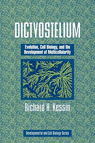Dictyostelium: Evolution, Cell Biology, and the Development of Multicellularity (Developmental and Cell Biology Series, 38, Band 38)