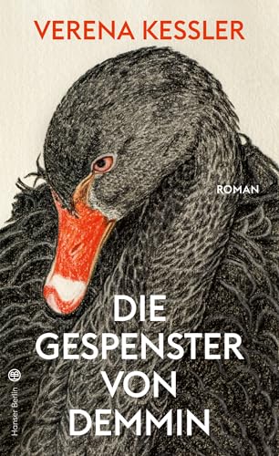 Die Gespenster von Demmin: Roman von Hanser Berlin