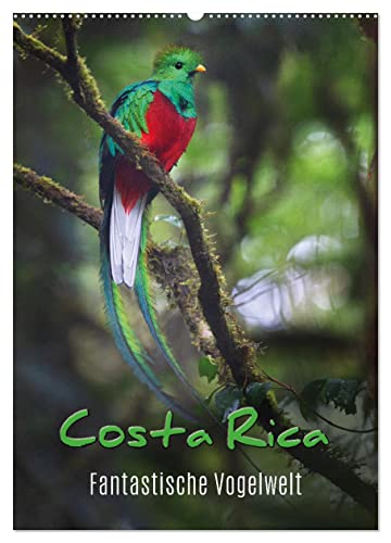 Costa Rica - Fantastische Vogelwelt (Wandkalender 2024 DIN A2 hoch), CALVENDO Monatskalender