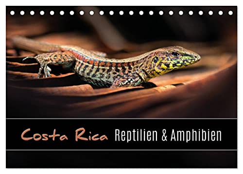 Costa Rica - Reptilien und Amphibien (Tischkalender 2024 DIN A5 quer), CALVENDO Monatskalender von CALVENDO