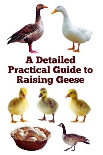 A Detailed Practical Guide to Raising Geese (The Detailed Homestead Flock Series) von Independently published