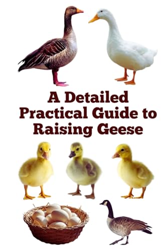 A Detailed Practical Guide to Raising Geese (The Detailed Homestead Flock Series) von Independently published