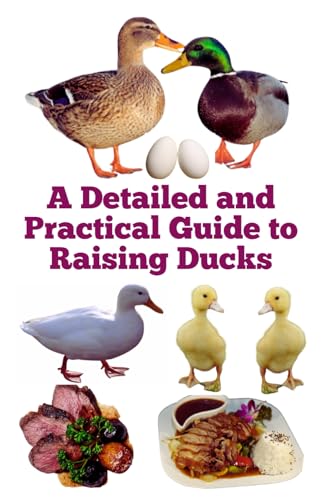 A Detailed and Practical Guide to Raising Ducks (The Detailed Homestead Flock Series) von Independently published