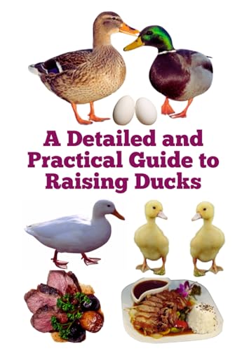 A Detailed and Practical Guide to Raising Ducks (The Detailed Homestead Flock Series) von Independently published