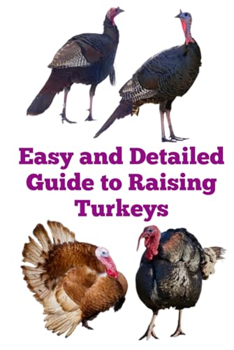 Easy and Detailed Guide to Raising Turkeys (The Detailed Homestead Flock Series) von Independently published