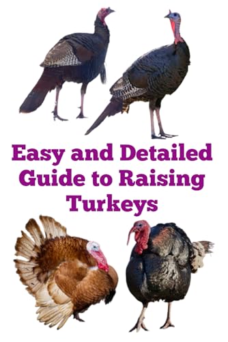 Easy and Detailed Guide to Raising Turkeys (The Detailed Homestead Flock Series) von Independently published