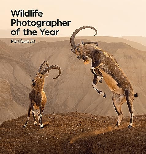Wildlife Photographer of the Year: Portfolio 33: Volume 33 (Wildlife Photographer of the Year, 33) von Natural History Museum