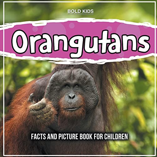 Orangutans: Facts And Picture Book For Children von Bold Kids