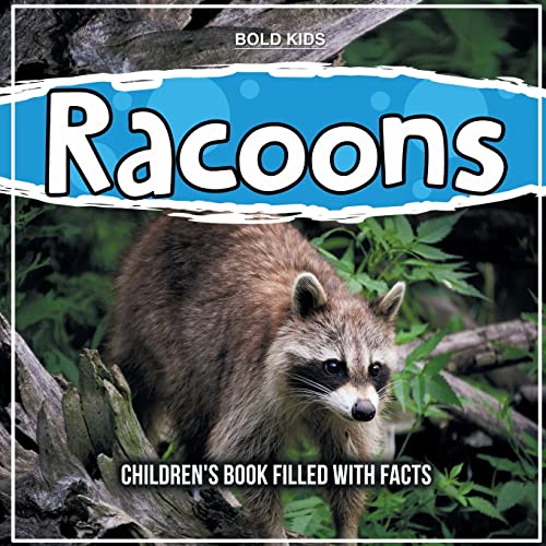 Racoons: Children's Book Filled With Facts von Bold Kids