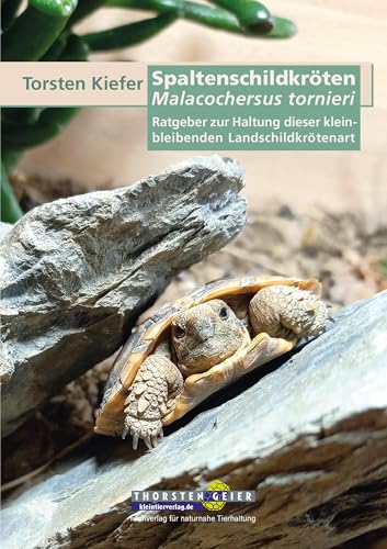 Spaltenschildkröten Malacochersus tornieri: Ratgeber zur Haltung dieser kleinbleibenden Landschildkrötenart von Kleintierverlag