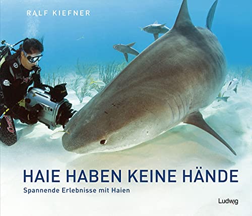 Haie haben keine Hände – Spannende Erlebnisse mit Haien von Steve-Holger Ludwig