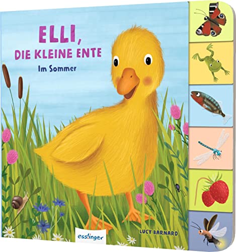 Mein erstes Jahreszeitenbuch: Elli, die kleine Ente: Im Sommer | Pappebuch mit Griff-Register