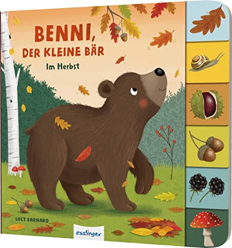 Mein erstes Jahreszeitenbuch: Benni, der kleine Bär: Im Herbst | Pappebuch mit Griff-Register von Esslinger Verlag