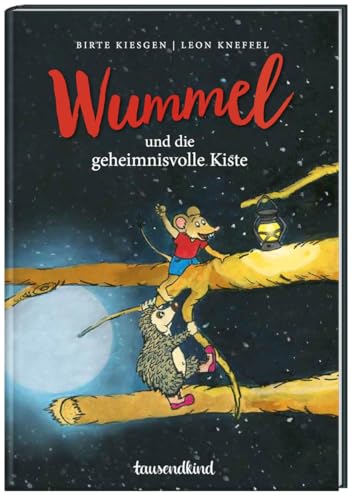 Wummel und die geheimnisvolle Kiste / Wummel Bd. 1