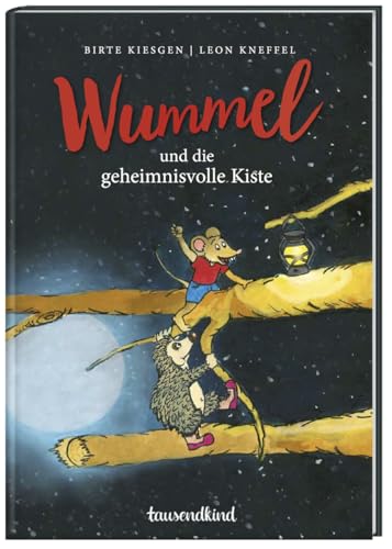 Wummel und die geheimnisvolle Kiste / Wummel Bd. 1