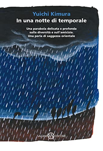 In una notte di temporale (Fuori collana Salani) von Salani