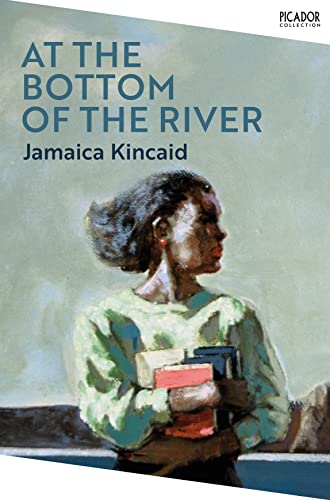 At the Bottom of the River (Picador Collection) von Picador