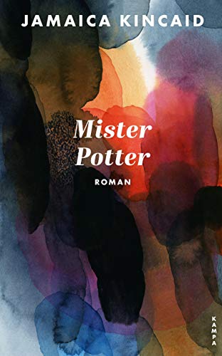 Mister Potter: Roman von Kampa Verlag