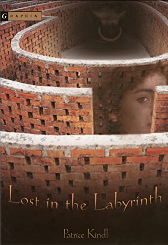 Lost in the Labyrinth von Houghton Mifflin