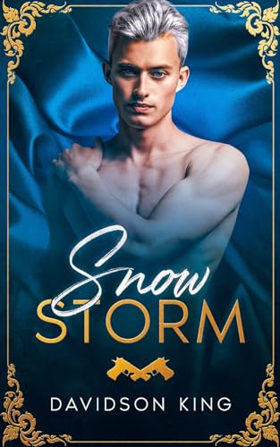 Snow Storm (Haven Hart, Band 5)