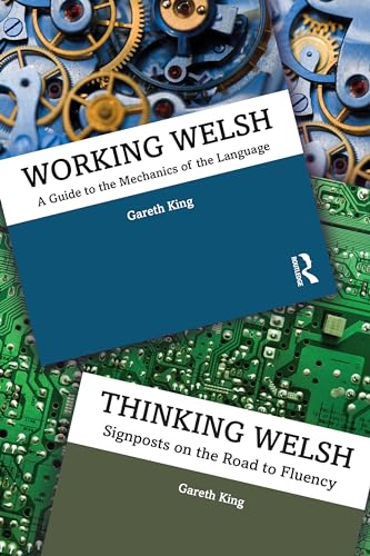 Working/Thinking Welsh: Two Volume Set von Routledge