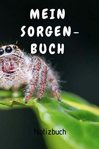 Mein Sorgenbuch: Mein Sorgenbuch, Schluss mit den Sorgen vor dem Einschlafen oder Aufstehen, Kummer, Sorgen und Ängste notieren und endlich schlafen | Tagebuch von Independently published