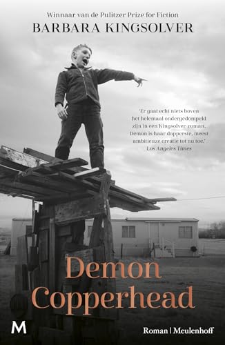 Demon Copperhead: roman