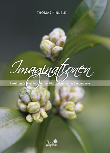 Imaginationen: Berührende Einblicke in die Pflanzenwelt eines Zaubergartens Imaginationen: Berührende Einblicke in die Pflanzenwelt eines Zaubergartens