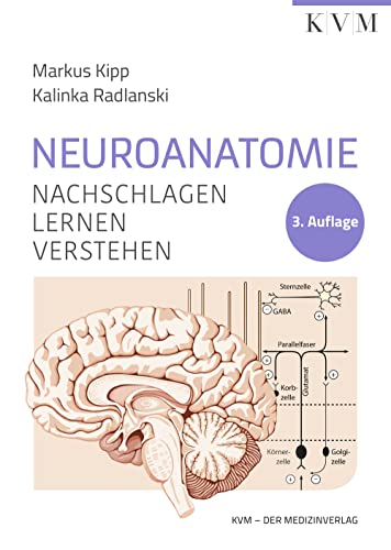 Neuroanatomie: Nachschlagen | Lernen | Verstehen von KVM – Der Medizinverlag. Ein Unternehmen der Quintessenz-Verlagsgruppe