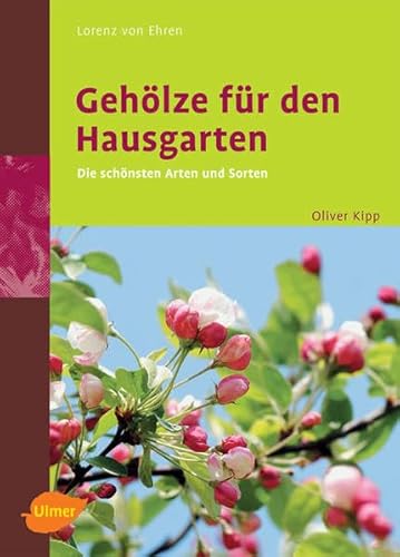 Gehölze für den Hausgarten: Die schönsten Arten und Sorten