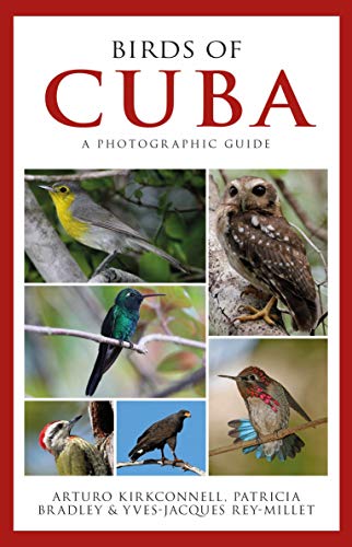 Photographic Guide to the Birds of Cuba von Helm