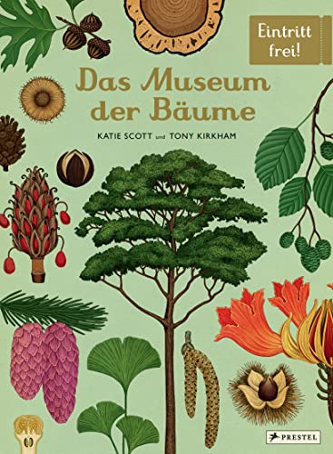 Das Museum der Bäume: Eintritt frei!