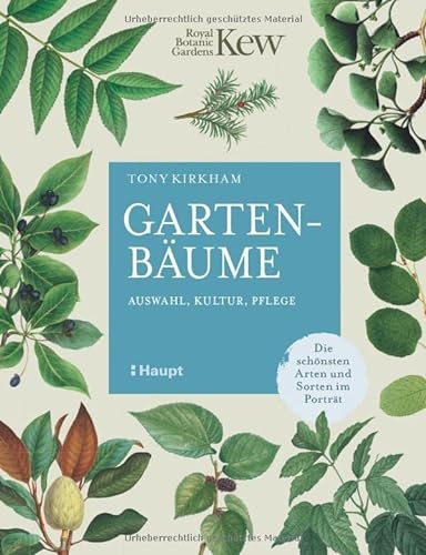 Gartenbäume: Auswahl, Kultur, Pflege - die schönsten Arten und Sorten im Porträt von Haupt Verlag AG