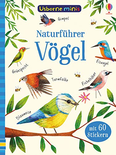 Usborne Minis - Naturführer: Vögel: Mit 60 Stickern (Usborne-Minis-Reihe)