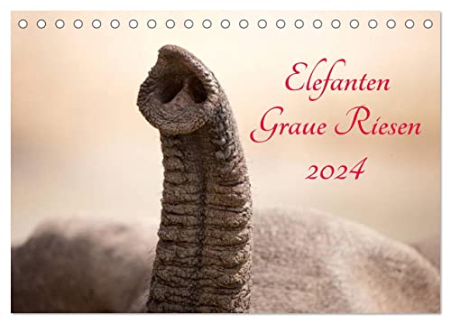 Elefanten - Graue Riesen (Tischkalender 2024 DIN A5 quer), CALVENDO Monatskalender von CALVENDO