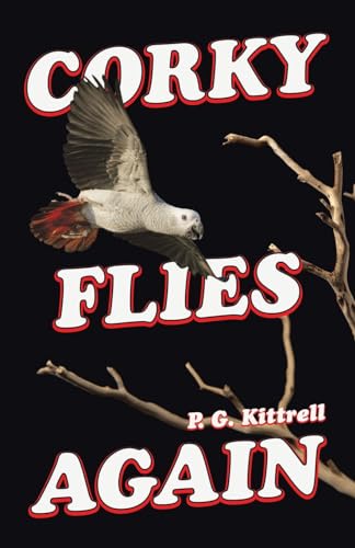 Corky Flies Again von LifeRich Publishing