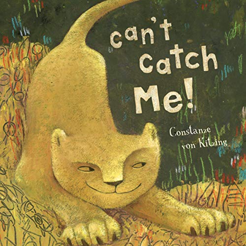 Can't Catch Me!: 1 (Lion) von Barefoot Books