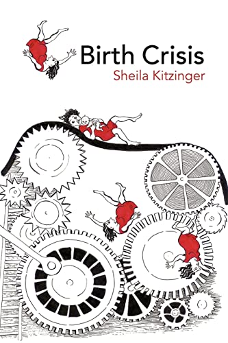 Birth Crisis von Routledge