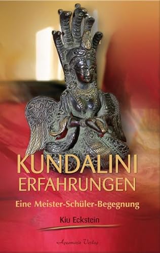 Kundalini-Erfahrungen: Eine Meiser-Schüler-Begegnung Kundalini-Erfahrungen: Eine Meiser-Schüler-Begegnung