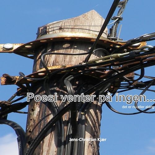 Poesien venter på ingen: det er nu eller aldrig von BoD – Books on Demand – Dänemark