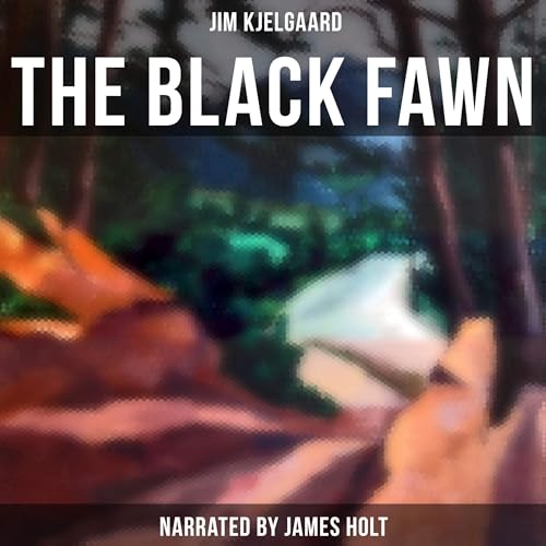 The Black Fawn von Anson Street Press